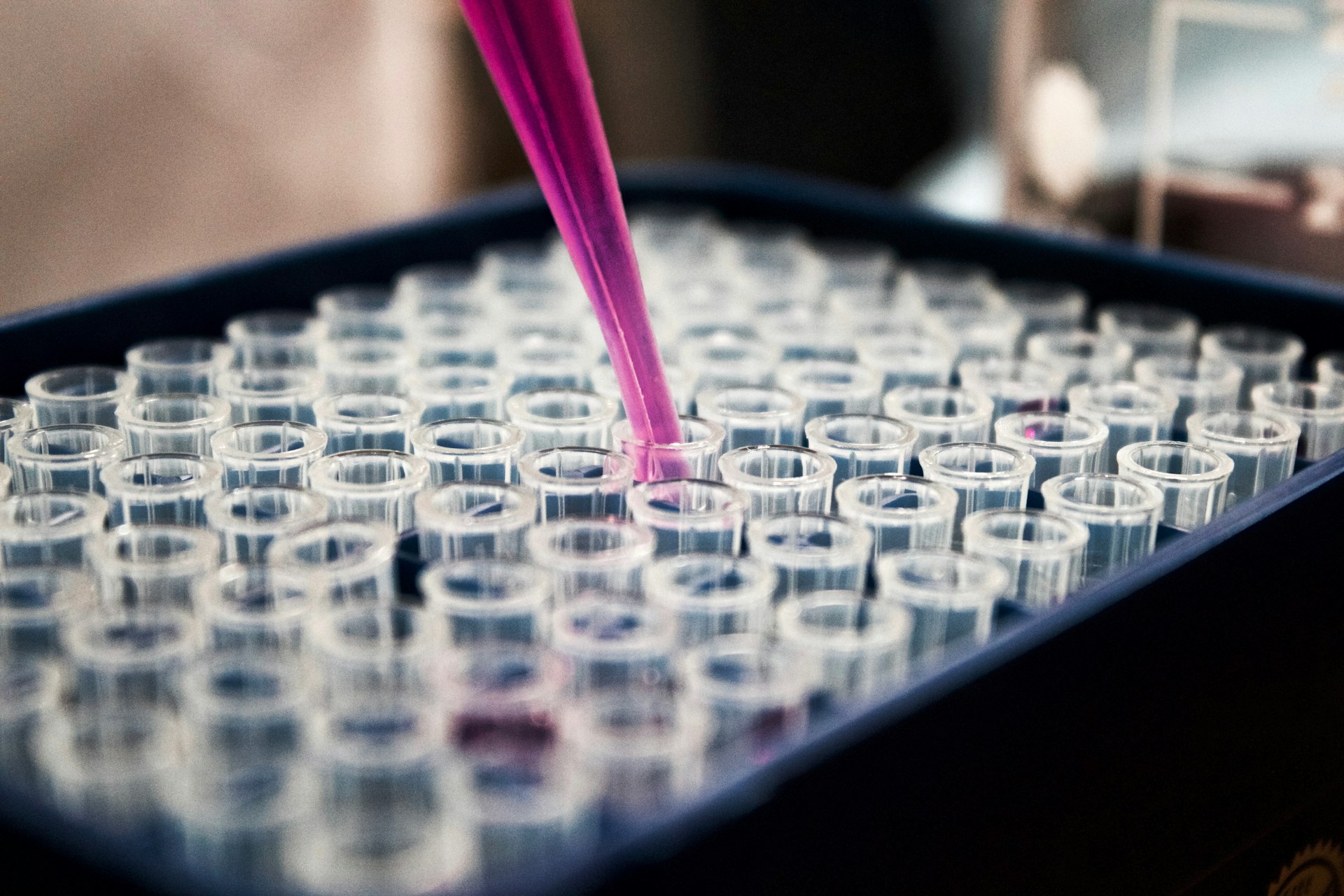 Fundabac filters & chemical duty